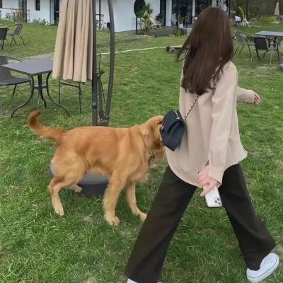 奇幻沼泽第三季